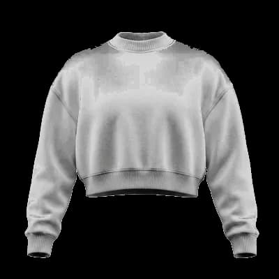 Cropped Sweatshirt